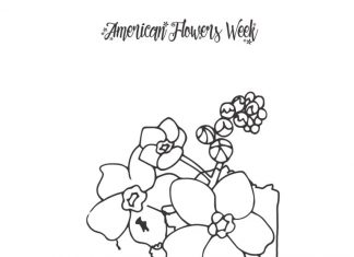 Kwiaty z Alaski kolorowanka kwiaty z Alaski