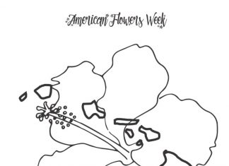 Kwiaty z Hawaii kolorowanka kwiaty z Hawaii do druku