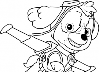 Latająca Skye Psi Patrol kolorowanka latająca Skye Psi Patrol do druku