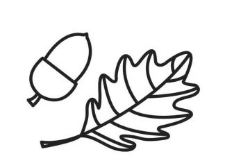 Liść z żołędziami kolorowanka liść z żołędziami