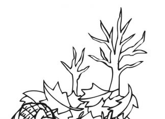 Liście z żołędziami kolorowanka liście z żołędziami