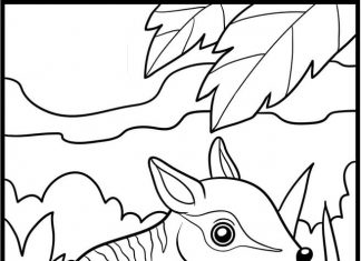 Lisek Kawaii na kłodzie kolorowanka lisek Kawaii na kłodzie