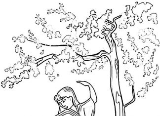 Malownicza kobieta z drzewem