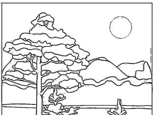 Malowniczy krajobraz