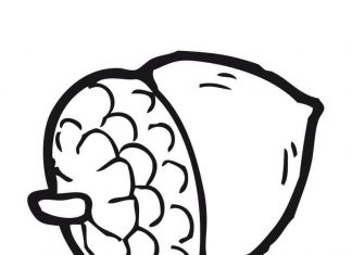 Mały orzeszek kolorowanka mały orzeszek