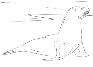 Mors na plaży kolorowanka mors na plaży do druku dla dzieci