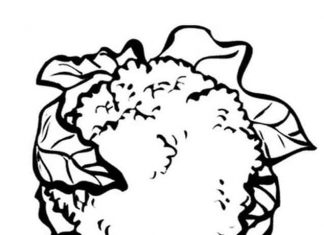 Niedojrzały kalafior