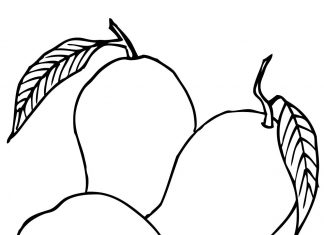 Owoce mango kolorowanka owoce mango do druku