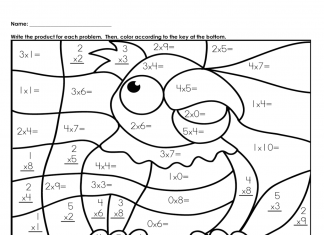 kolorowanka papuga według rozwiązań matematycznych