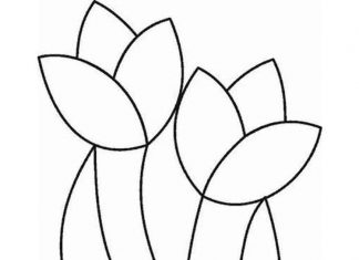 Para połączonych roślinek