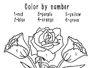 kolorowanka piękne dkiwaty w wazonie