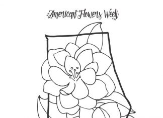 Piękne kwiatki kolorowanka piekne kwiatki