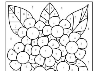 kolorowanka piękny bukiet kwiatków