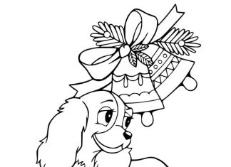 Pies w bajki z dzwonkami