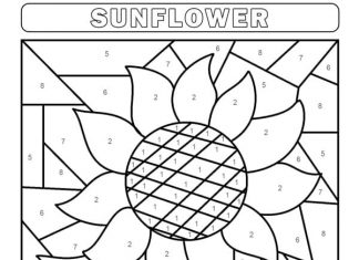 kolorowanka pomaluj według legendy słonecznik