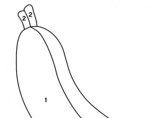 Pomaluj według liczb banan kolorowanka pomaluj według liczb banan