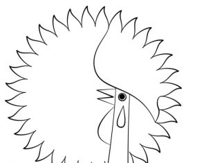 kolorowanka portugalski kogucik