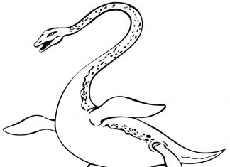 Pradawny potwór z Loch Ness kolorowanka pradawny potwór z loch ness
