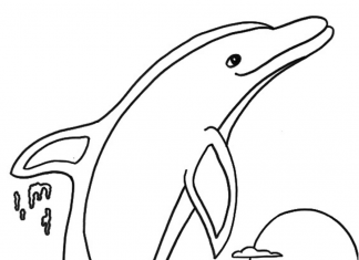 Skaczący delfin kolorowanka skaczący delfin do druku