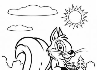 Sprytna wiewiórka kolorowanka sprytna wiewiórka