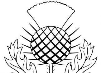 Symbol Szkocki kolorowanka symbol Szkocki