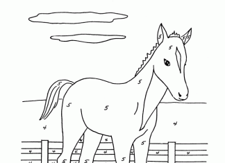 kolorowanka według instrukcji koń na wybiegu
