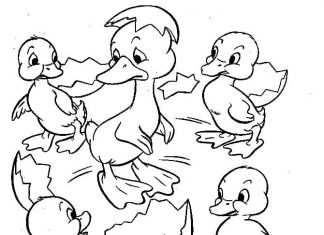 Wykluwające się kaczątko kolorowanka wykluwające się kaczątka