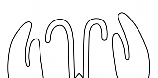 Kolorowanki Homar Kolorowanka lobster do druku