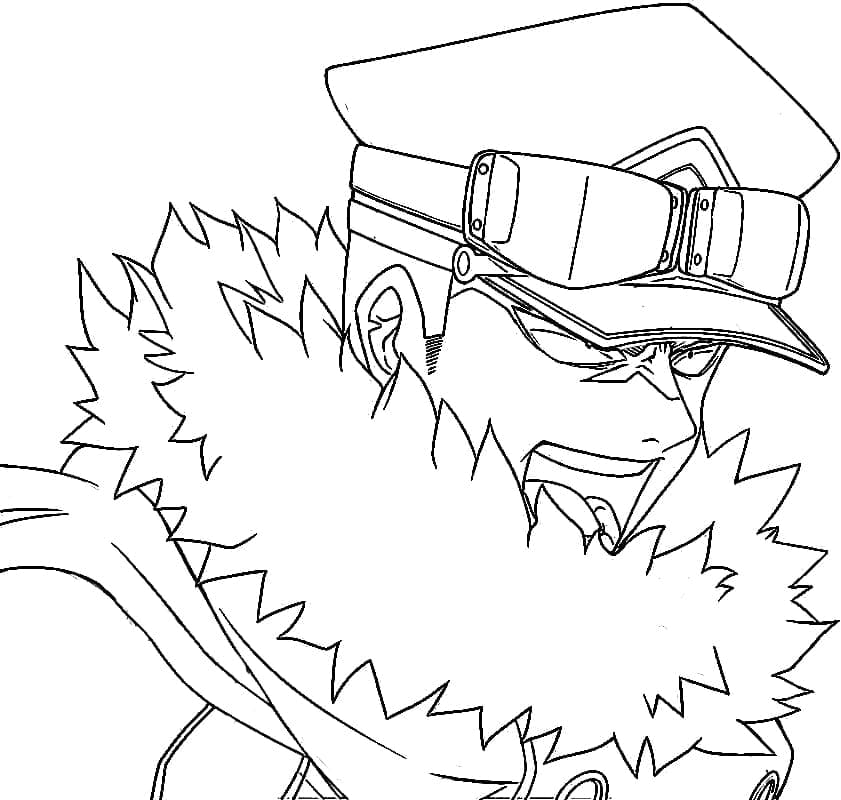 My Hero Academia bohater