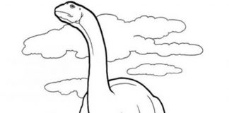 Kolorowanki Brontozaur Prehistoryczne zwierzęta