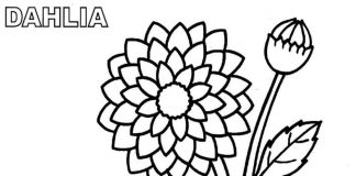 Prosty obrazek z kwiatkami