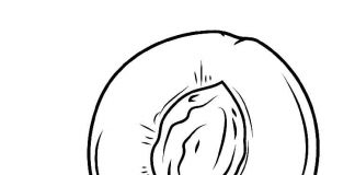 Kolorowanki Nektarynka