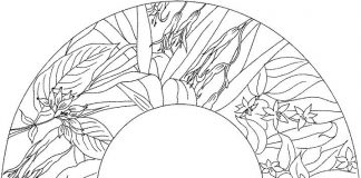 Kolorowanki Litera Q