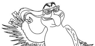 Ptak Sokrates z bajki