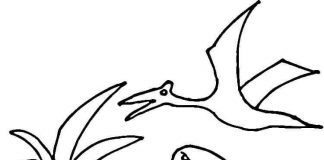 Kolorowanki Pterodaktyl
