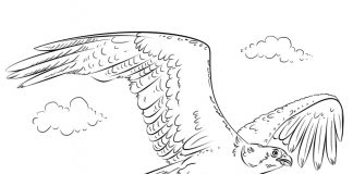 Kolorowanki Rybołów