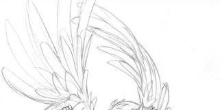 Rysunek Maximum Ride do pokolorowania