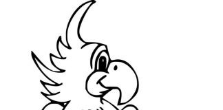 Kolorowanki papuga Nimfa