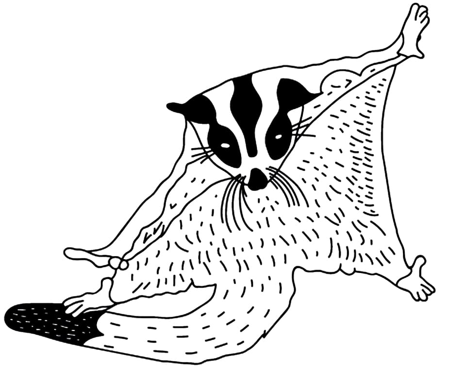 Sugar Gilder do druku