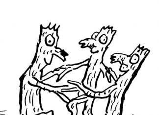 Tanczą drzewa na obrazku