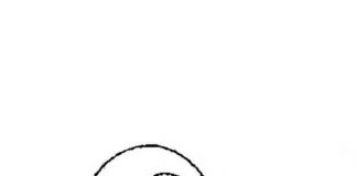 Tchoupi i jego zabawny miś obrazek do druku kolorowanka