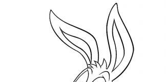 Tiny Toon Adventures do druku kolorowanka