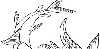 Kolorowanki Mozazaur Walka dinozaurów pod wodą kolorowanka