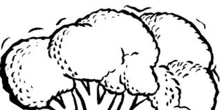 Warzywa na obrazku dla dzieci