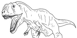 Kolorowanki Giganotozaur Wielki dinozaur ryczy