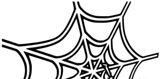 Kolorowanki Pajęczyna