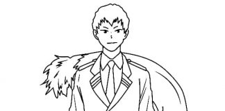 Wojownik My Hero Academia