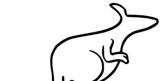 Kolorowanki Wallaroo