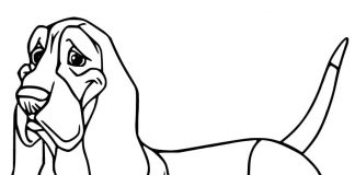 Kolorowanki Basset Wyjątowa rasa psa