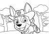 Zabawa pieska z bajki Paw Patrol kolorowanka